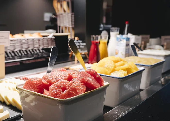 Ibis Centre Rive Gauche Mermoz